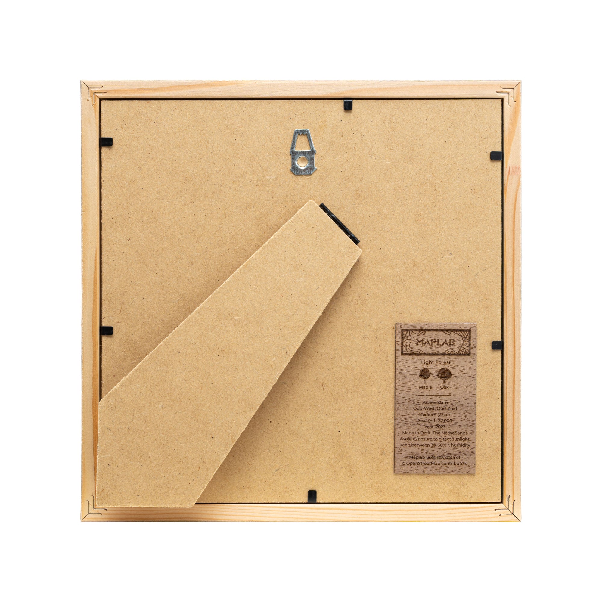 Amsterdam Oud-West & Oud-Zuid Map Art - MAPLAB