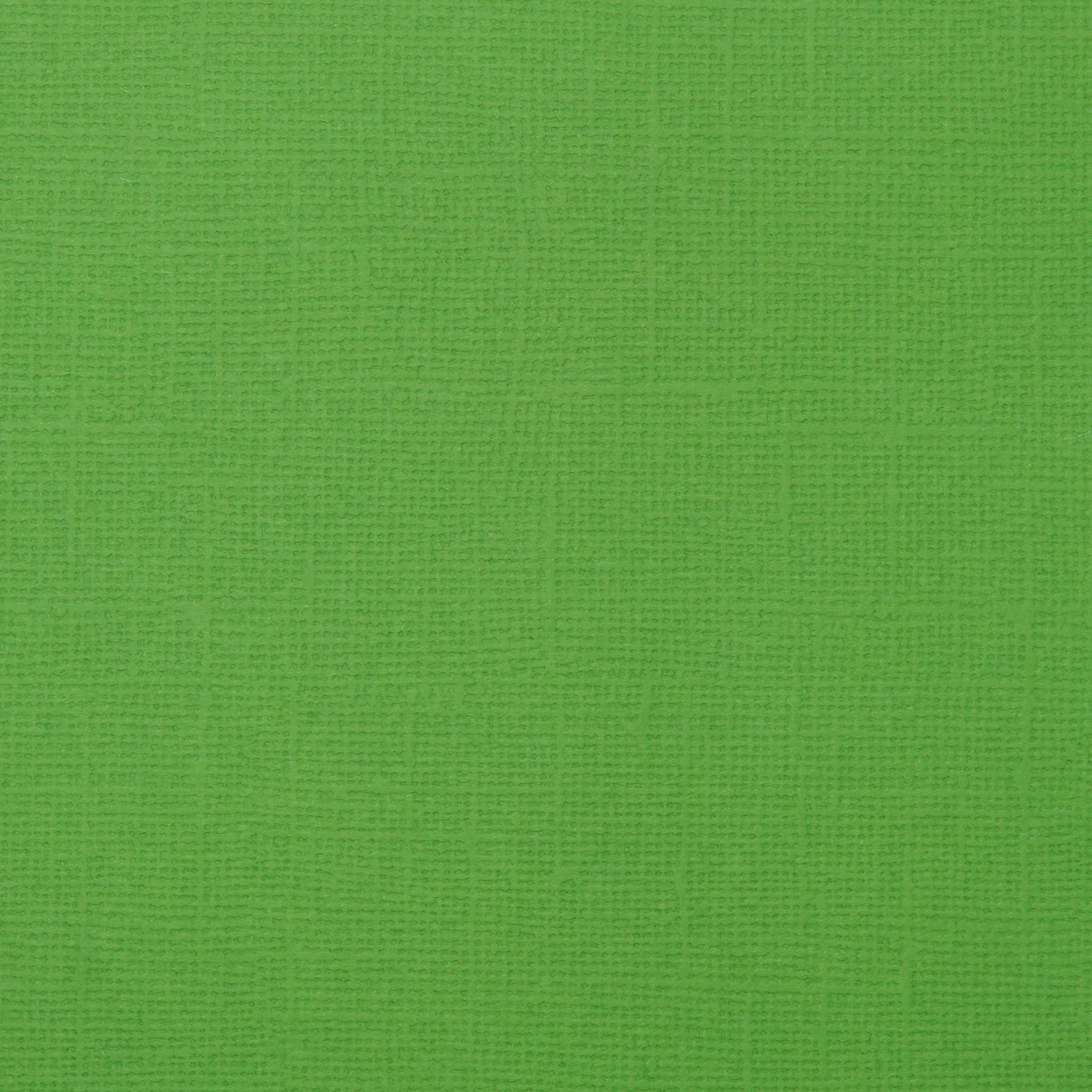 frog_water_original_2048_2048