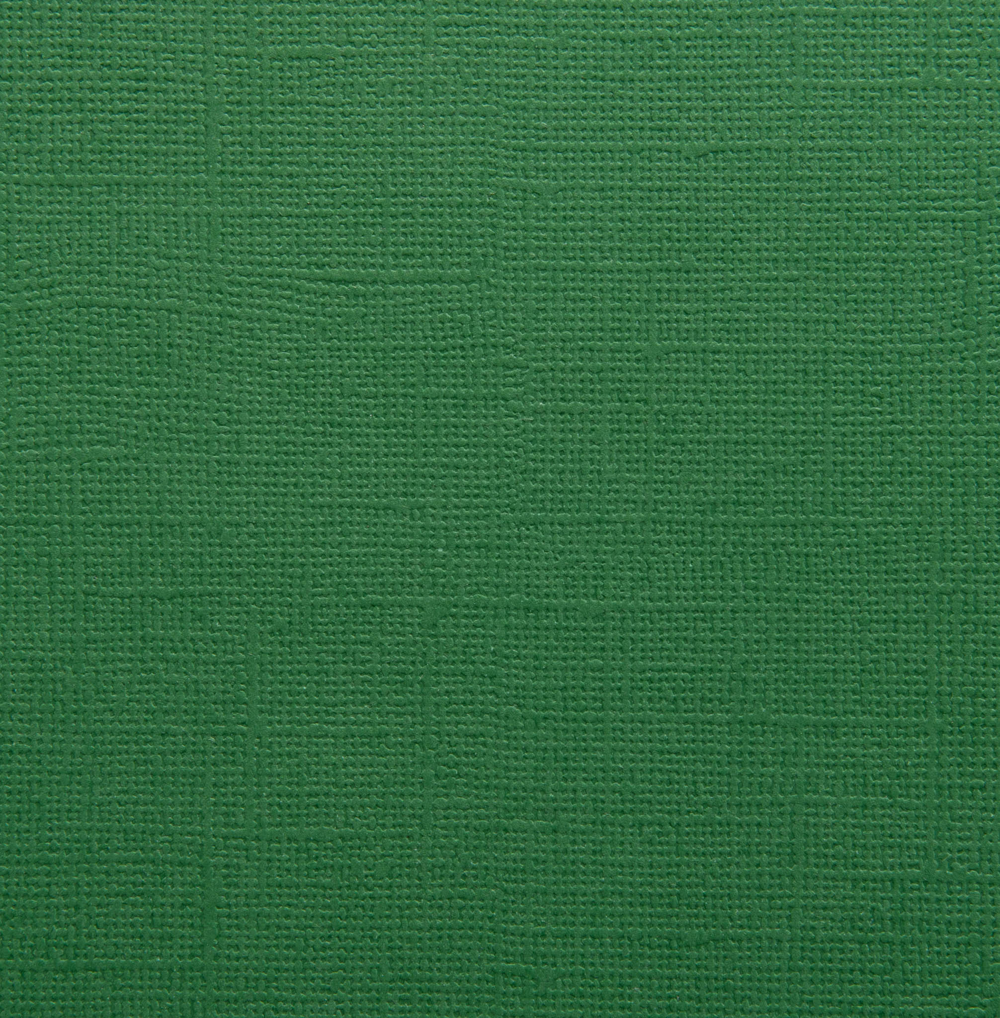 Forest Green Embossed Paper
A slightly darker shade of green quite like matured leaves of a deciduous forest. The embossing pattern makes the light reflect at different angles, just like on an canopy or grassland.